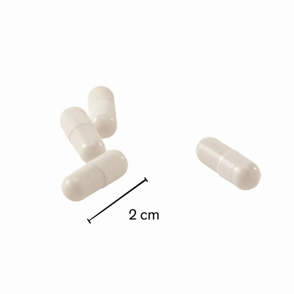 50+ Vitalitet