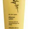 Aftersun Lotion
