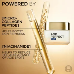 Age Perfect Classic Night Cream