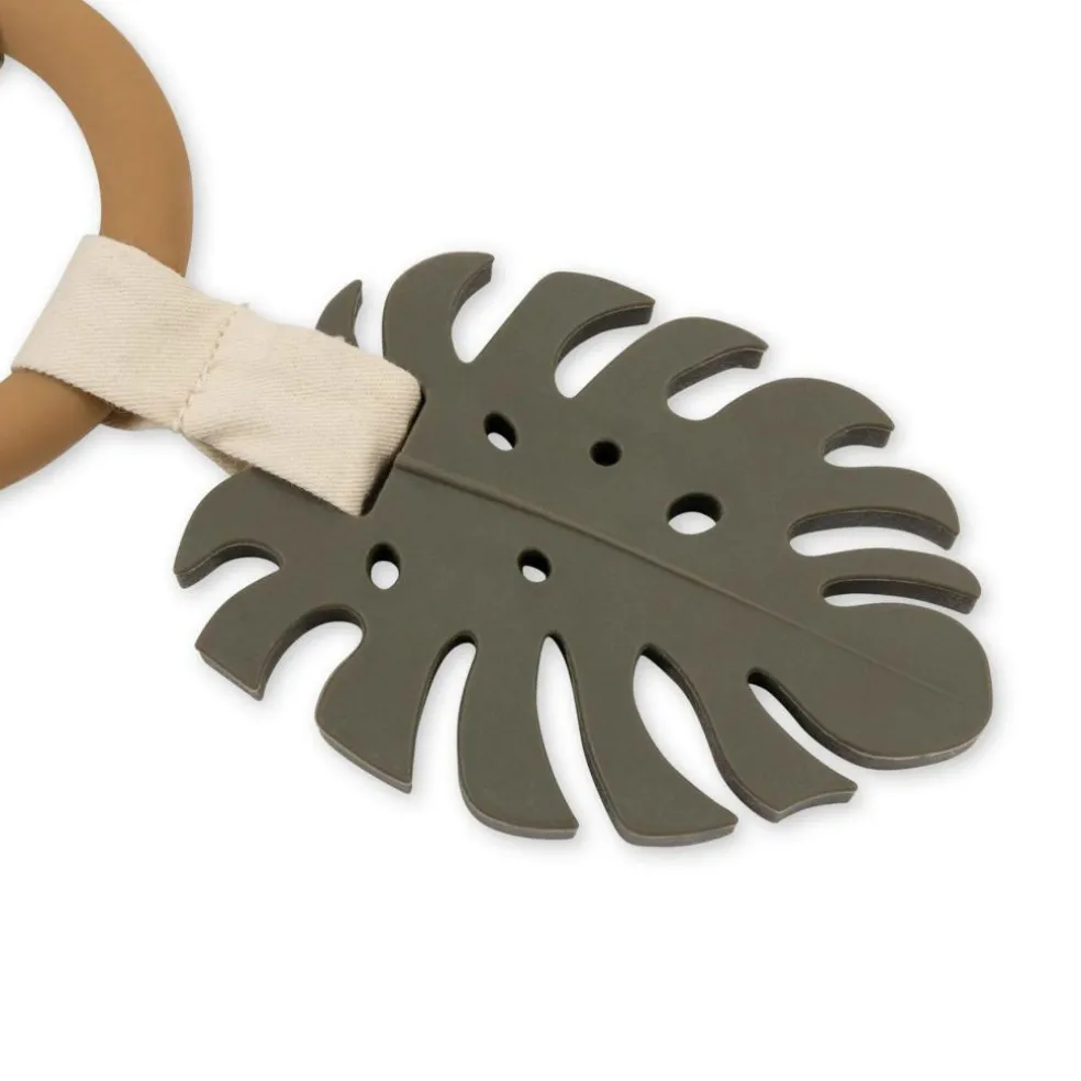Aktivitetsring