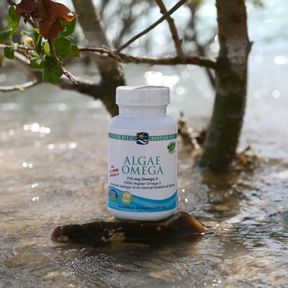 Algae Omega 3