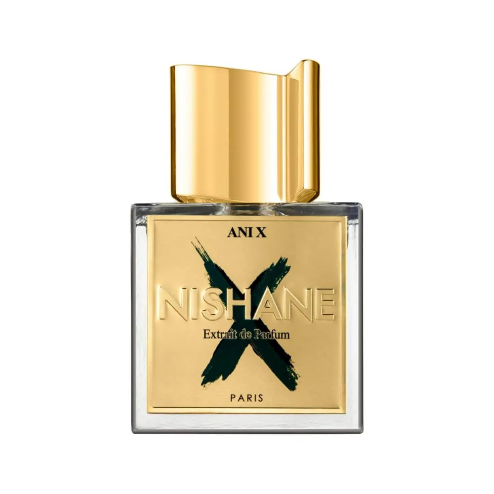 Ani X