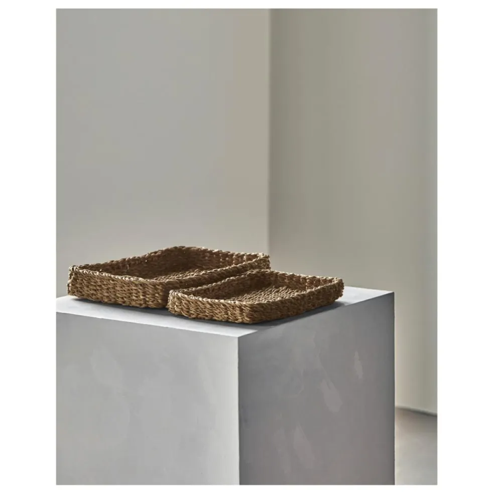 Bakker Mktrays