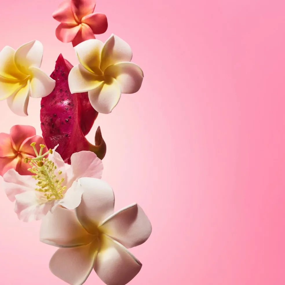 Beija Flor Collagen Cream