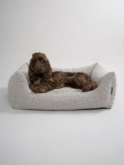 Billy Bouclé Hundeseng