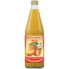 Æble Mango saft Ø