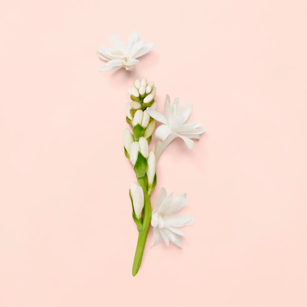 Bloom Eau de Parfum for Women