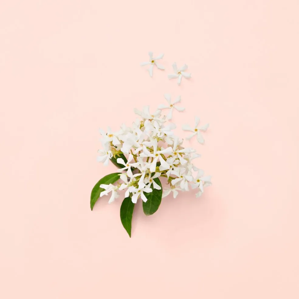 Bloom Eau de Parfum for Women