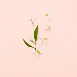 Bloom Eau de Toilette for Women