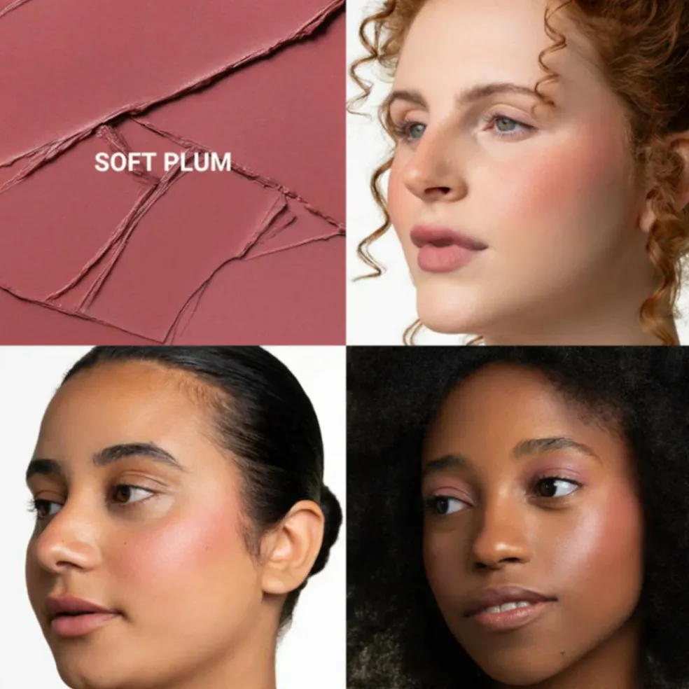 Blush Multi Stick