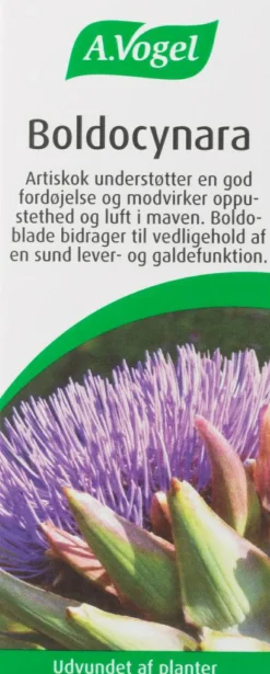 Boldocynara