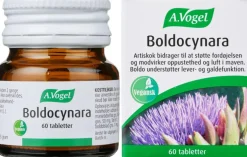 Boldocynara
