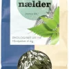 Brændenælde te Ø
