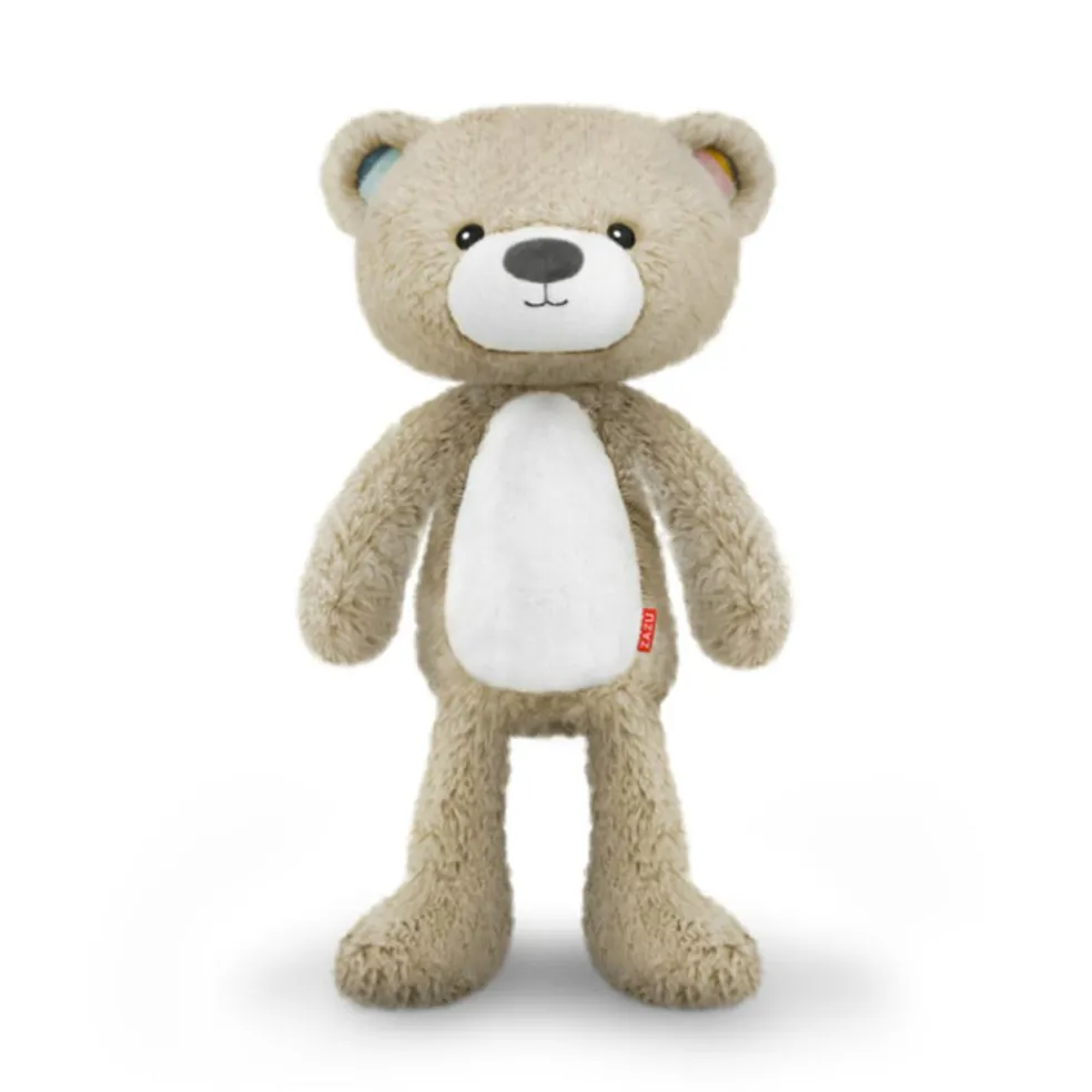 Brody the Bear Sleeptrainer