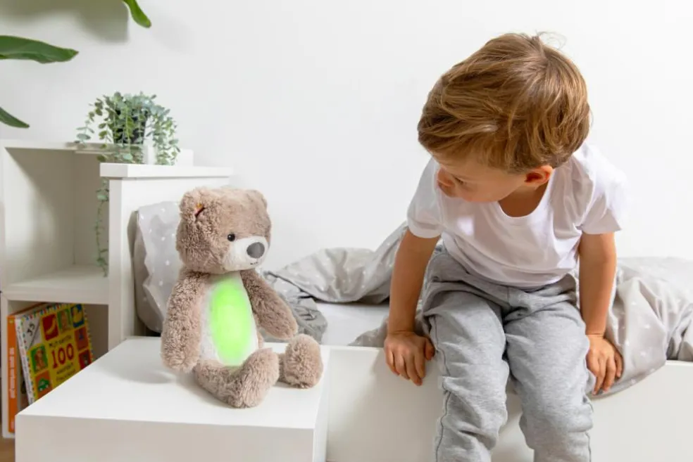 Brody the Bear Sleeptrainer
