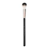 Brush
