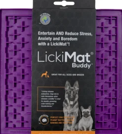 Buddy
