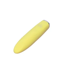 Bullet Vibrator