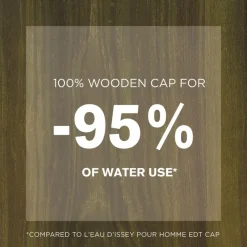 Cedar