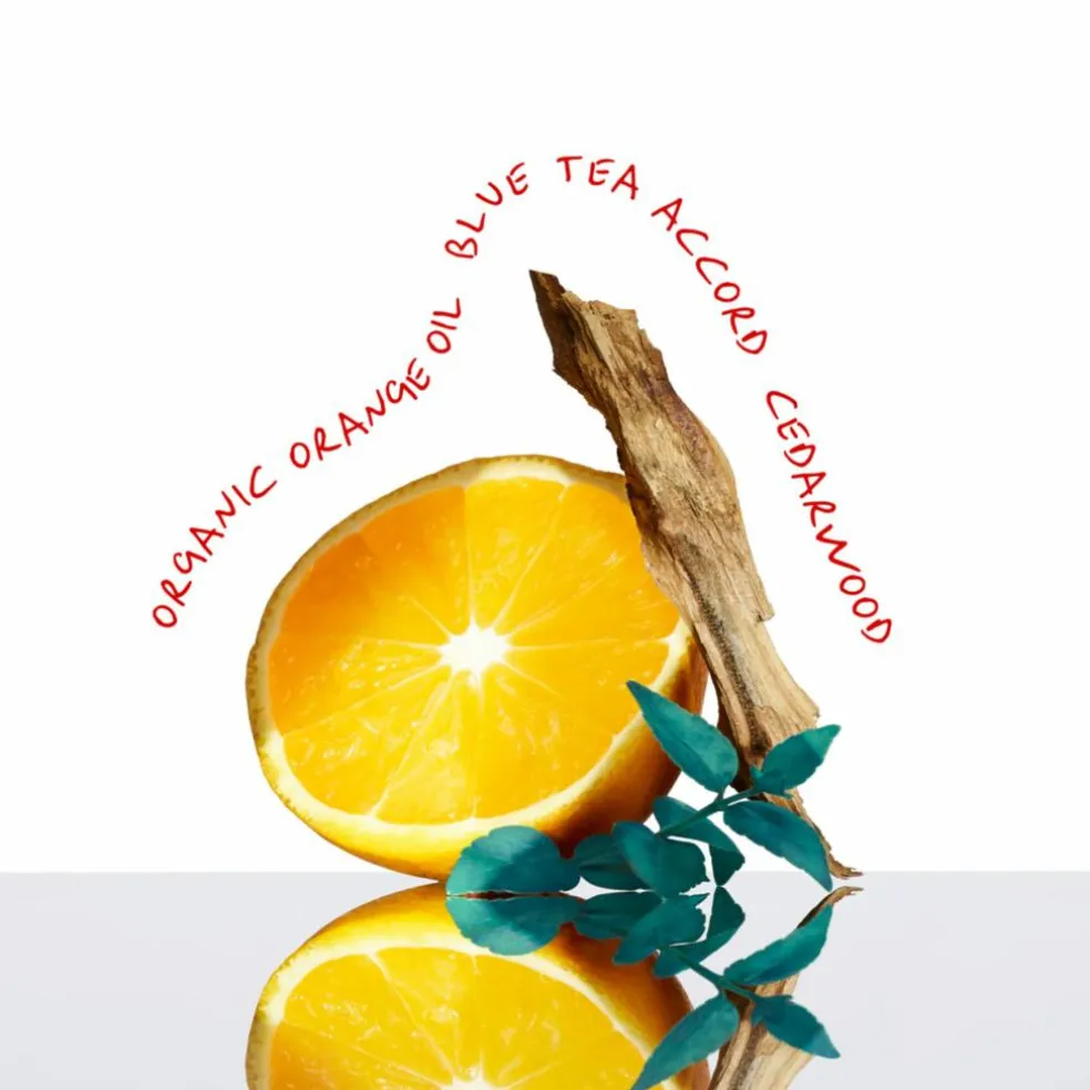 CK Everyone Eau de Toilette Unisex