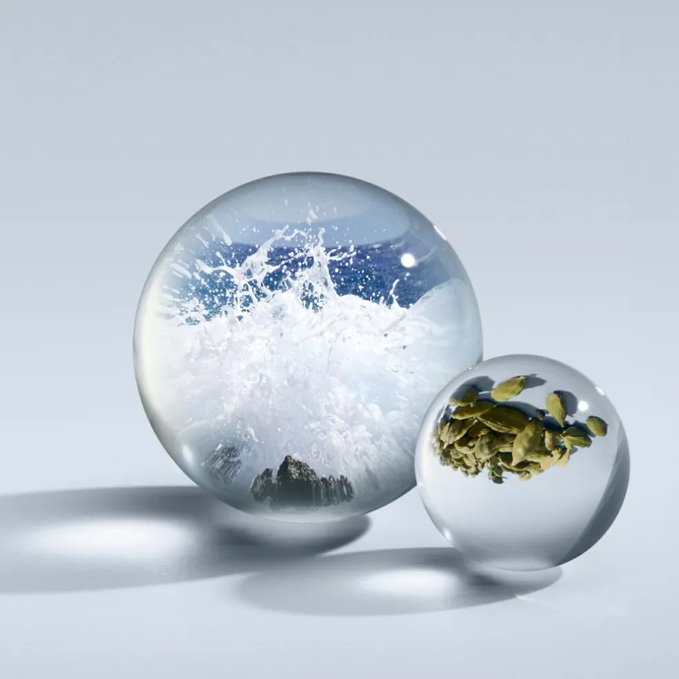 Coast Cypress & Sea Fennel Eau De Parfum