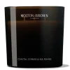 Coastal Cypress & Sea Fennel Scented Candle
