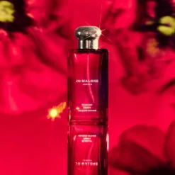 Cologne Intense Discovery Collection