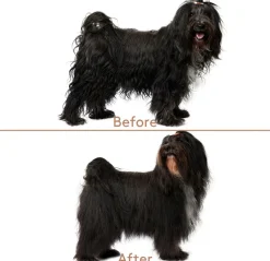 Cuddle+Care Hundeshampoo