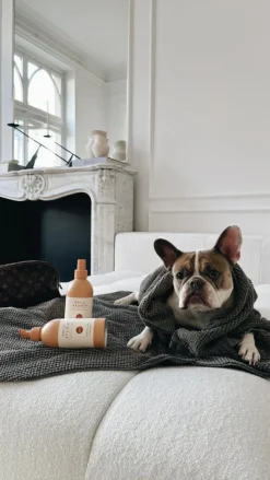 Cuddle+Care Hundeshampoo