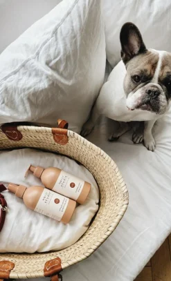 Cuddle+Care Hundeshampoo