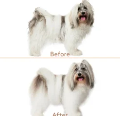 Cuddle+Care Shampoo & Refresh+Detangle Groomingspray Double-Pack