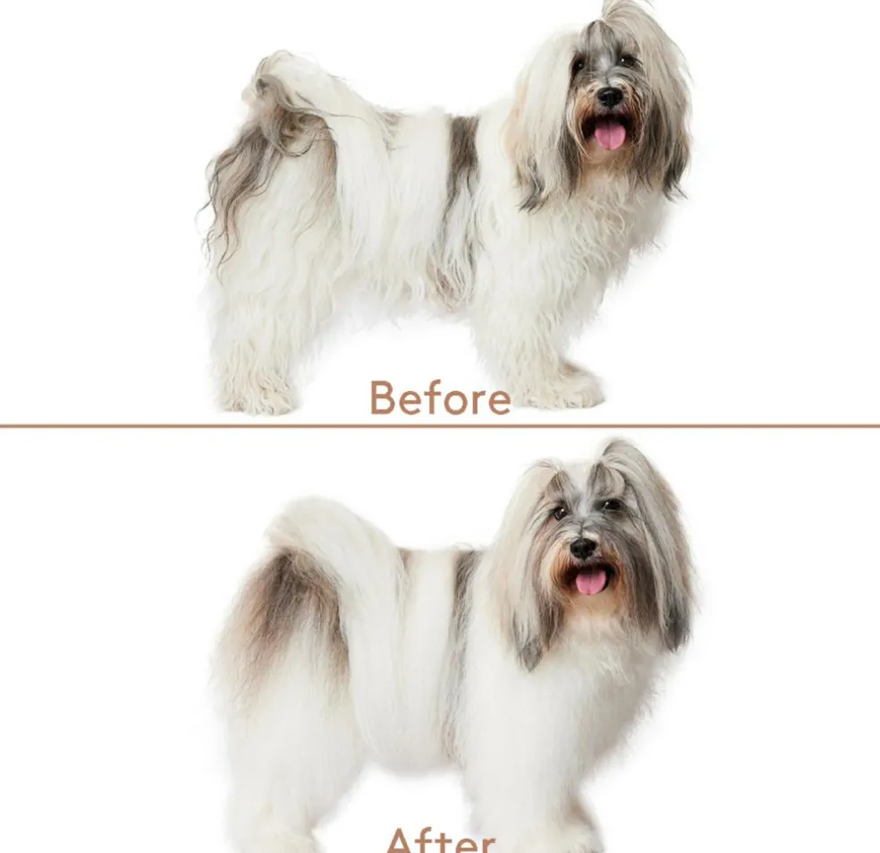 Cuddle+Care Shampoo & Refresh+Detangle Groomingspray Double-Pack