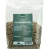 Damiana
