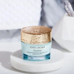 DayWear Anti-Oxidant Cream SPF 15 Normal/Combination