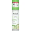Deo Spray Refresh
