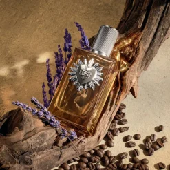 Devotion Pour Homme Parfum
