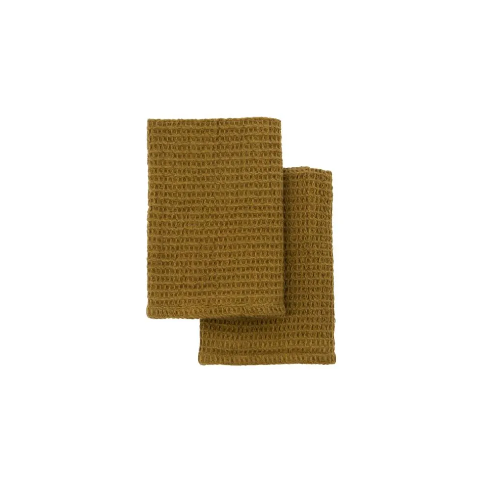 Dish Cloth