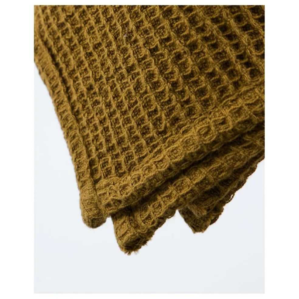 Dish Cloth