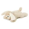 Dream Buddies