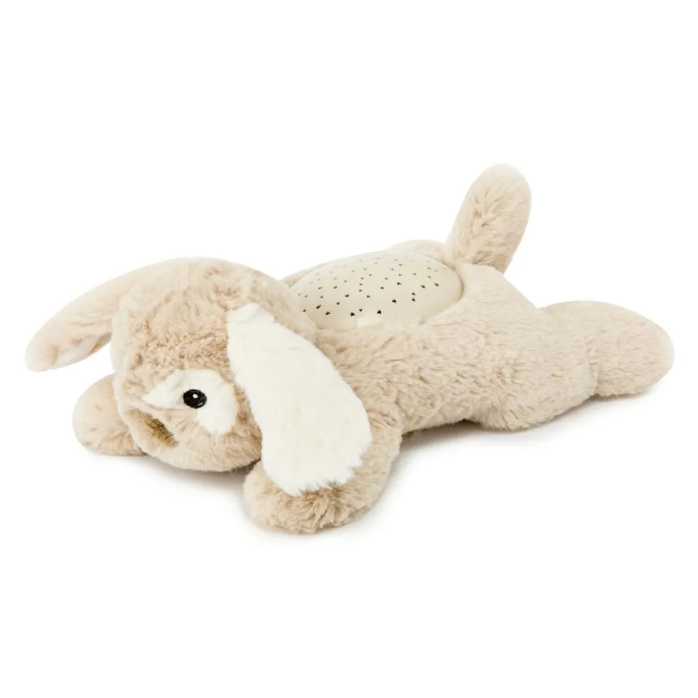 Dream Buddies