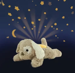 Dream Buddies