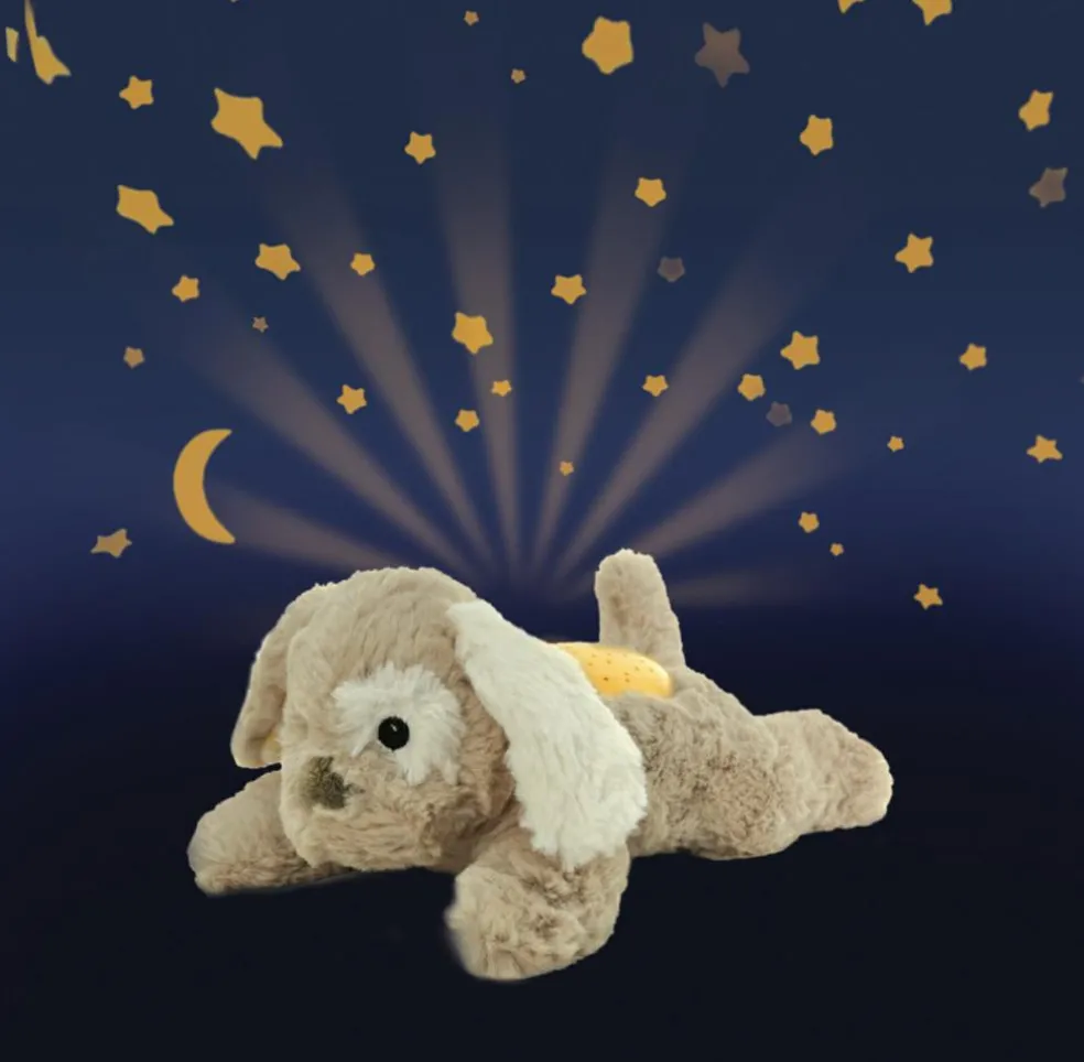 Dream Buddies