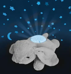 Dream Buddies