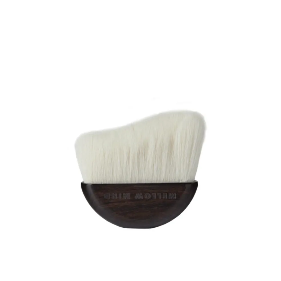 Dry Shampoo Brush