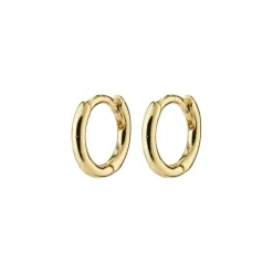 Eanna Genanvendt Huggie Hoops