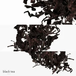 Eau de Citron Noir