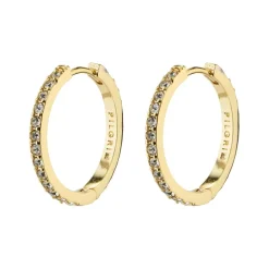 Ebna Crystal Hoops