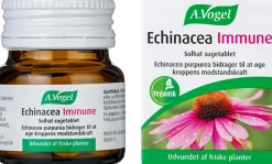 Echinacea Immune