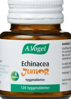Echinacea Junior
