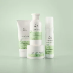 Elements Renewing Leave-in Spray